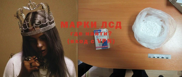 хмурый Алексин
