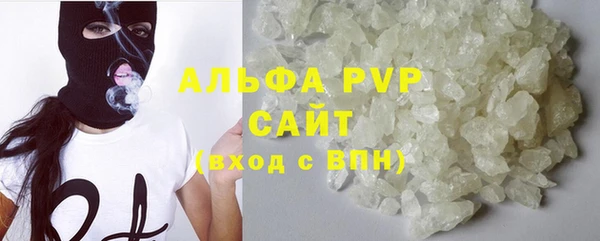 PSILOCYBIN Семёнов
