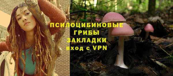 хмурый Алексин