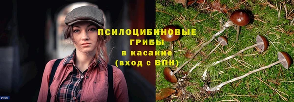 mdpv Алексеевка