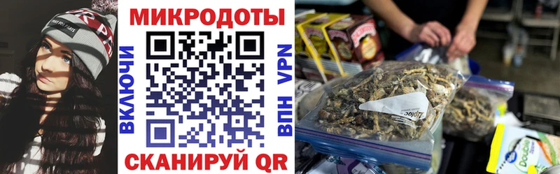 Псилоцибиновые грибы прущие грибы Жирновск